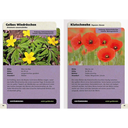 Ravensburger Taschenlexikon der Natur