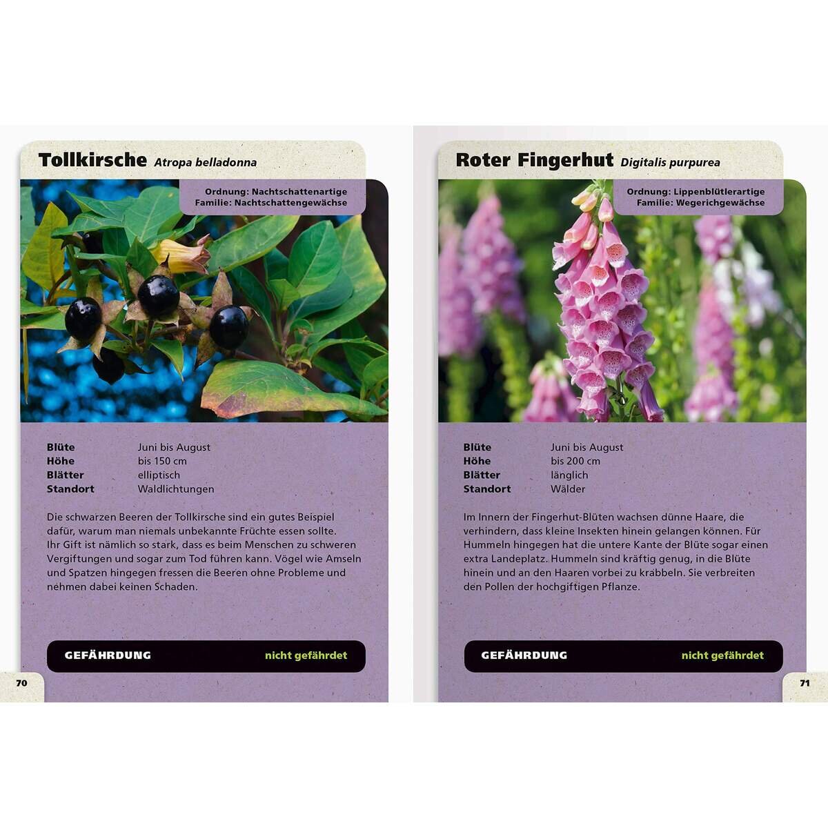Ravensburger Taschenlexikon der Natur