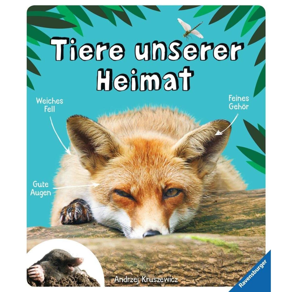 Ravensburger Tiere unserer Heimat