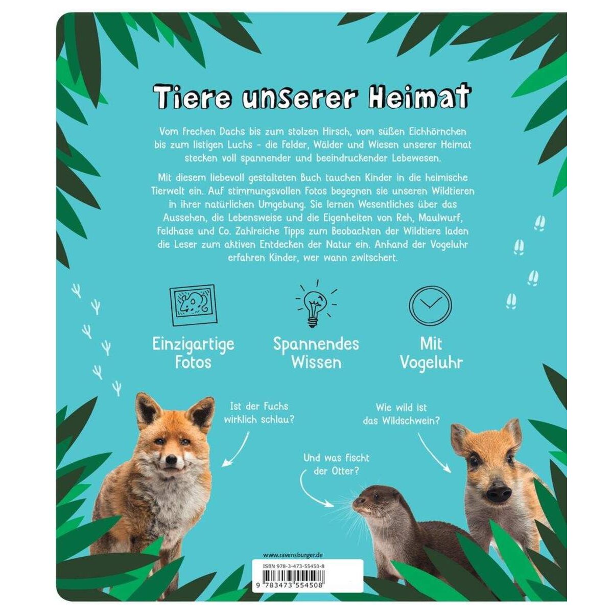 Ravensburger Tiere unserer Heimat