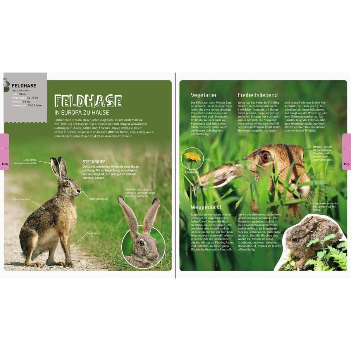 Ravensburger Tiere unserer Heimat