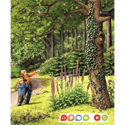 Ravensburger tiptoi Wieso? Weshalb? Warum? 8 Komm mit in den Wald