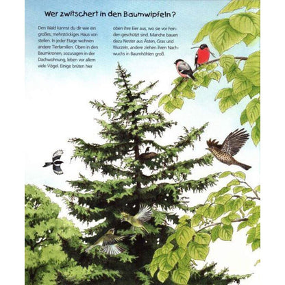 Ravensburger tiptoi Wieso? Weshalb? Warum? 8 Komm mit in den Wald