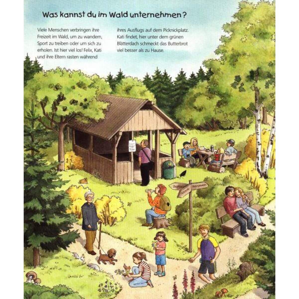 Ravensburger tiptoi Wieso? Weshalb? Warum? 8 Komm mit in den Wald