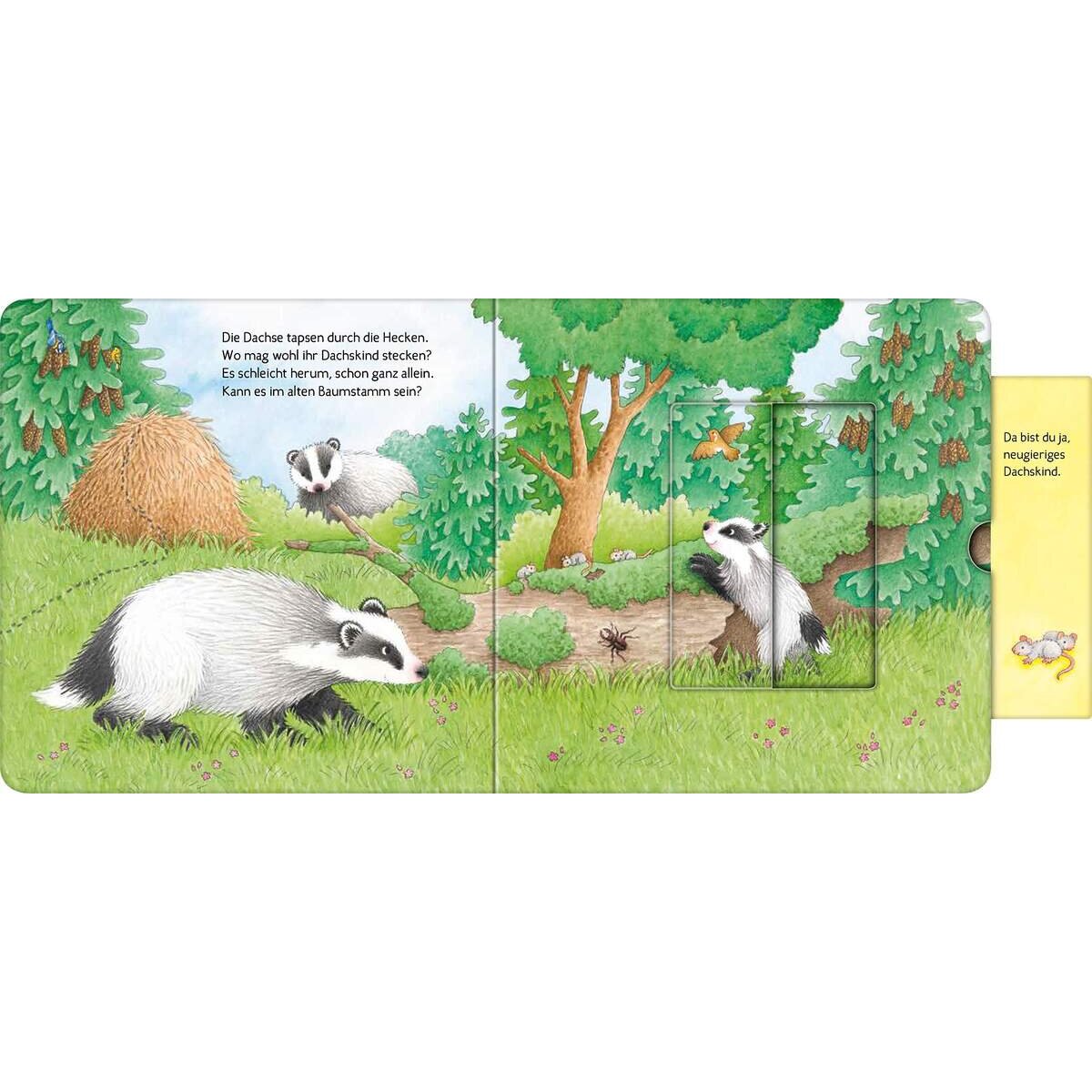 Ravensburger Wer hat sich hier versteckt? Suche die Waldtiere