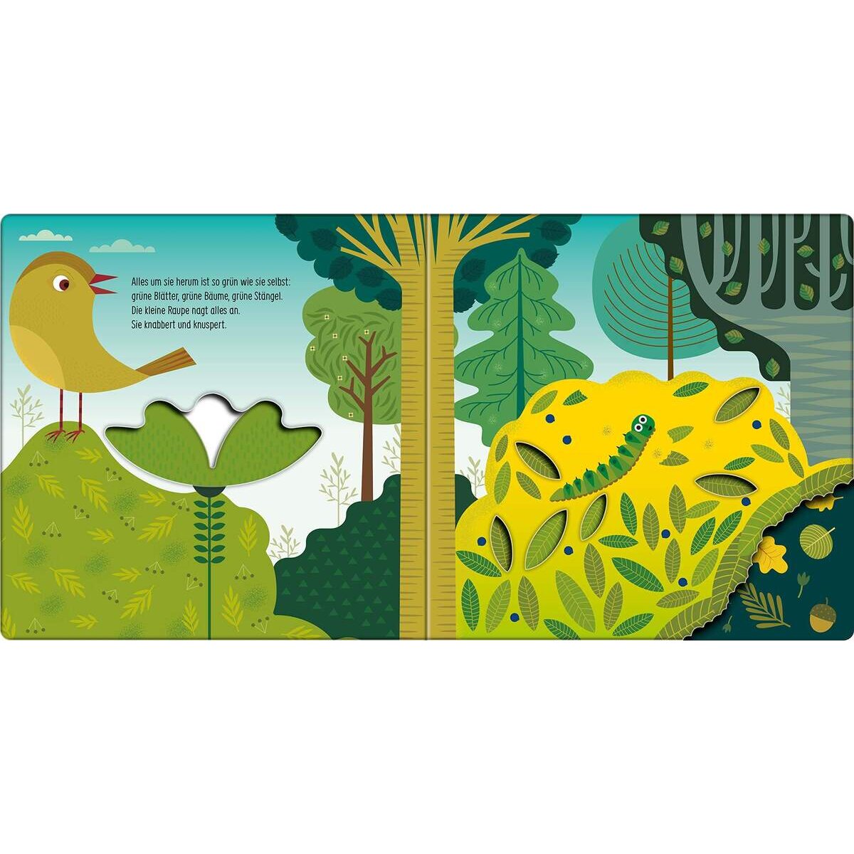 Ravensburger Wie kleine Tiere groß werden: Die kleine Raupe