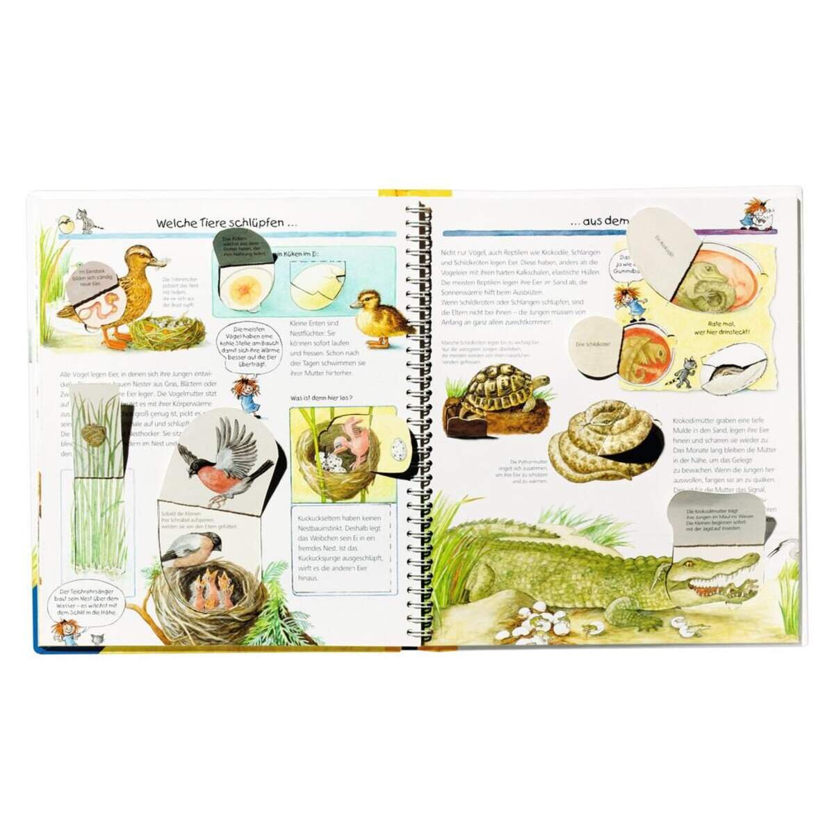 ravensburger-wieso-weshalb-warum-33-242672822.jpg