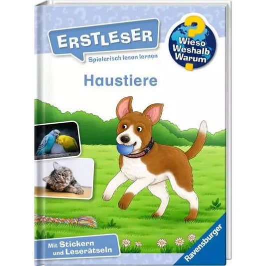 ravensburger-wieso-weshalb-warum-erstleser-DC31DF8E1.jpg