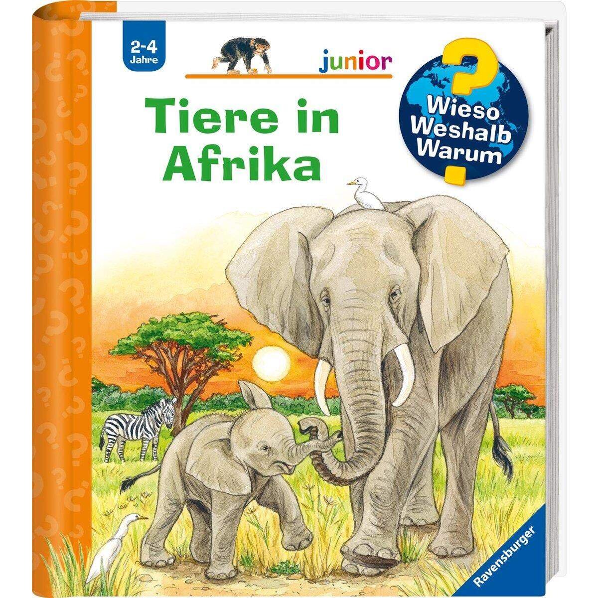 Ravensburger Wieso? Weshalb? Warum? Mein erstes Vorschulbuch: Buchstaben und Zahlen