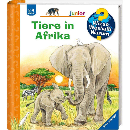 Ravensburger Wieso? Weshalb? Warum? Mein erstes Vorschulbuch: Buchstaben und Zahlen