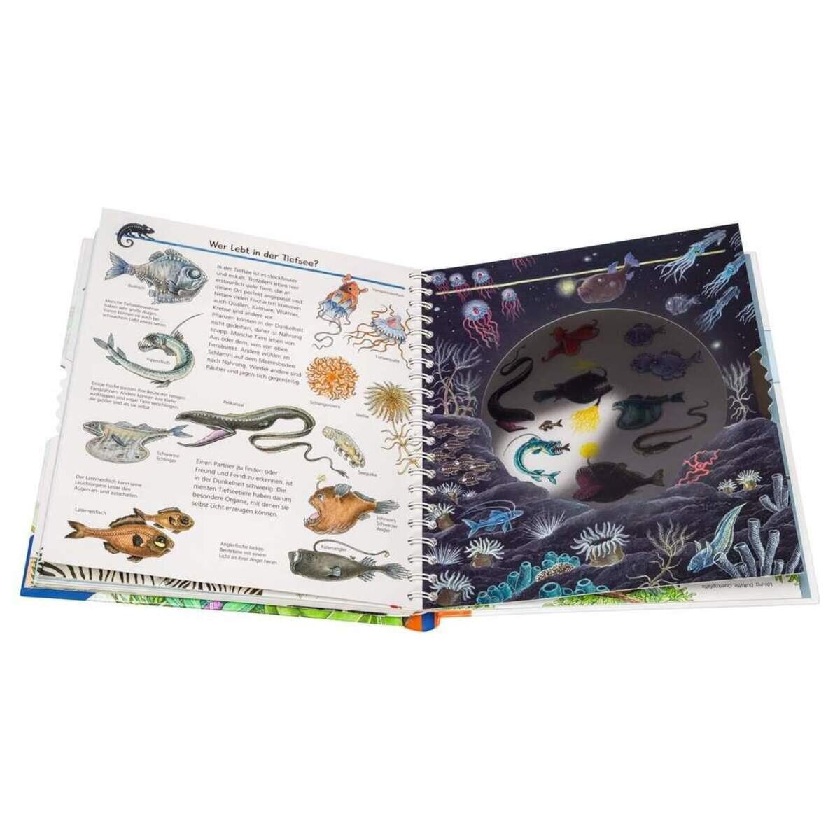 Ravensburger Wieso? Weshalb? Warum? Sonderband-Tiere!