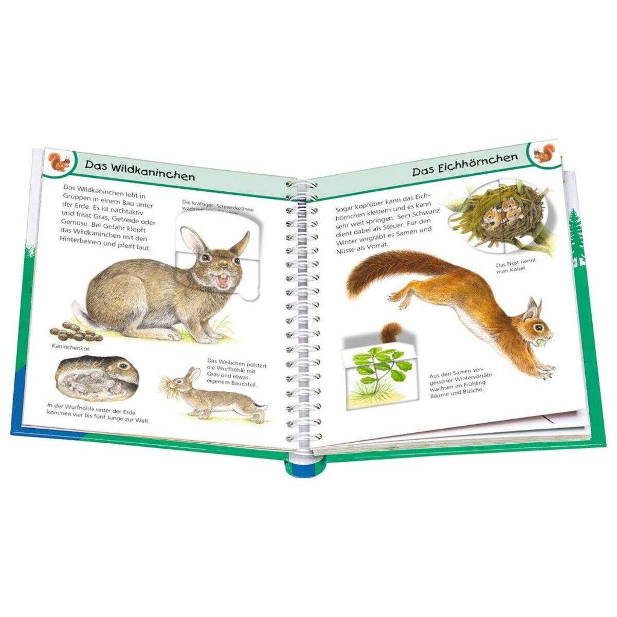 Ravensburger Wieso? Weshalb? Warum? Tiere im Wald