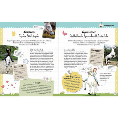 Ravensburger Wunderbare Welt der Pferde und Ponys