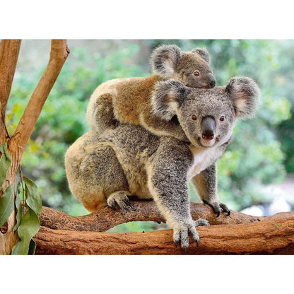 Ravensburger XXL-Puzzle Koalafamilie, 200 Teile