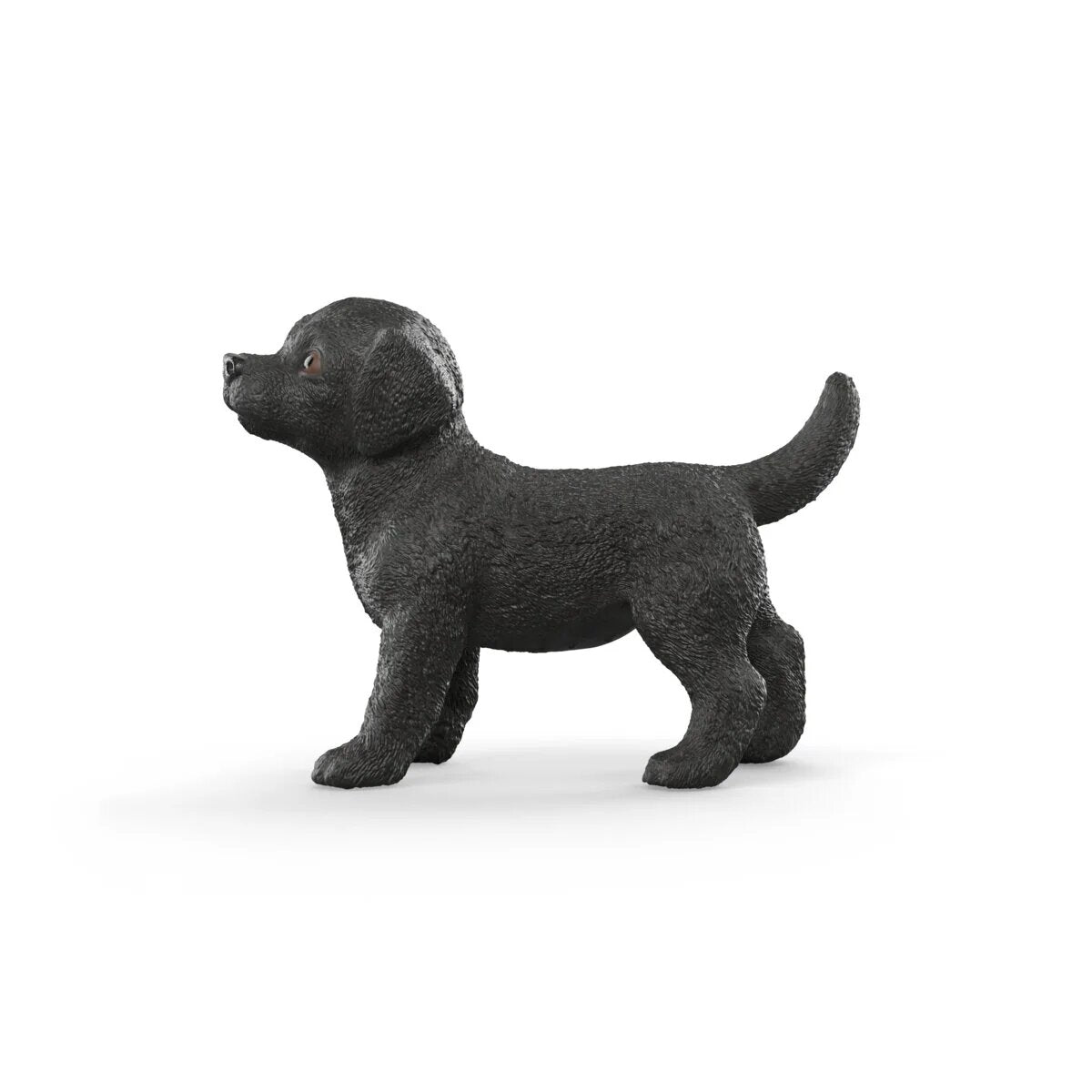 schleich-14922-schwarzer-labrador-retriever-B3F0DC372.jpg