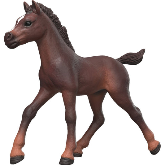 schleich-81479-sammelfohlen-ravi-F3F1817E1.jpg