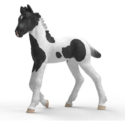 schleich-81481-sammelfohlen-rocky-28ECC5E51.jpg