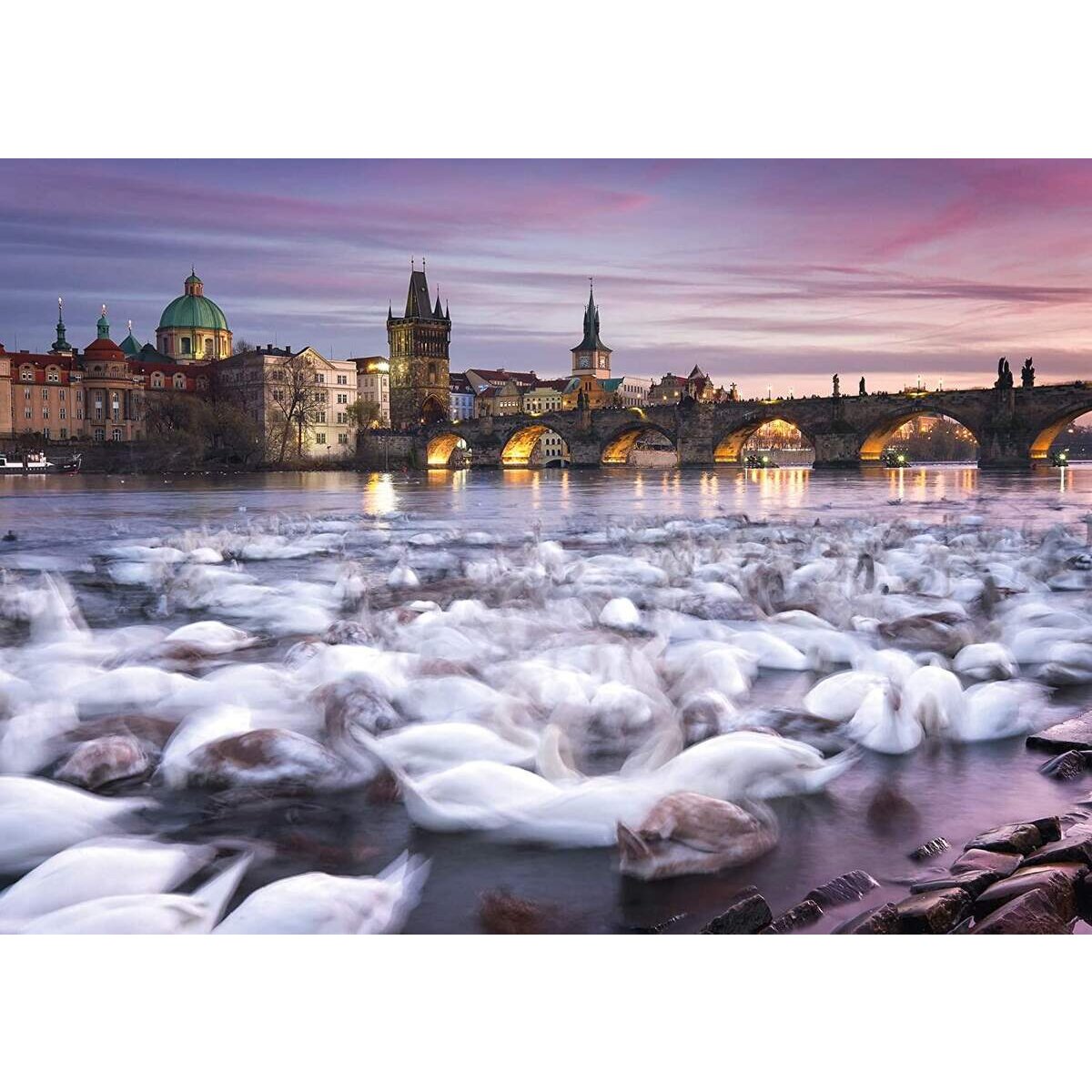Schmidt Spiele Puzzle - Christian Ringer, Prag, Schwäne, 1000 Teile