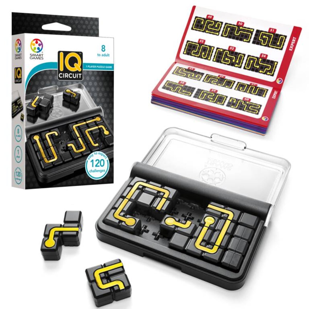 smart-games-iq-circut-E229C8B66.jpg