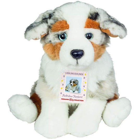 teddy-hermann-australischer-schaeferhund-welpe-878EADB01.jpg