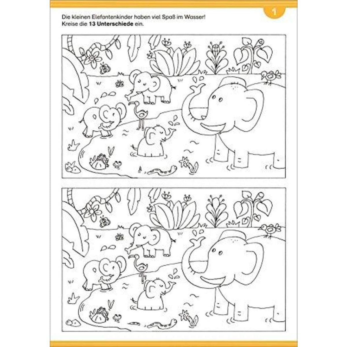 Tessloff Finde den Unterschied - Tierkinder