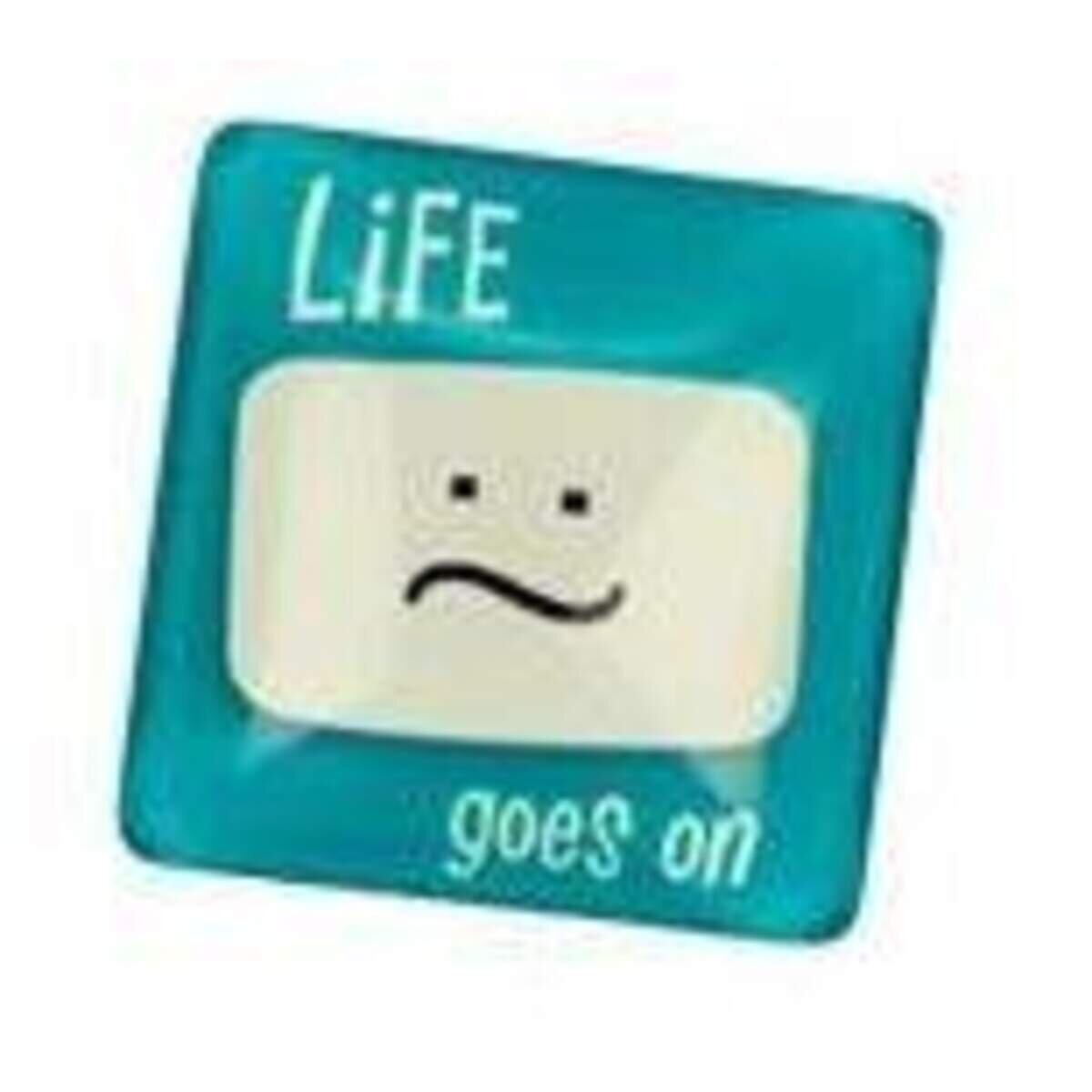 Trendhaus Cool Magnets X-Press Yourself, 8-fach sortiert