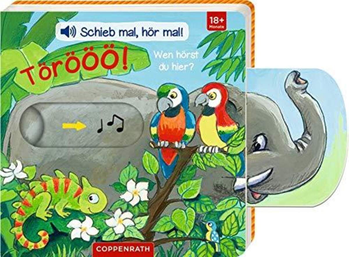 Coppenrath Verlag Schieb mal, hör mal!: Törööö! Wen hörst du hier? (Soundbuch)
