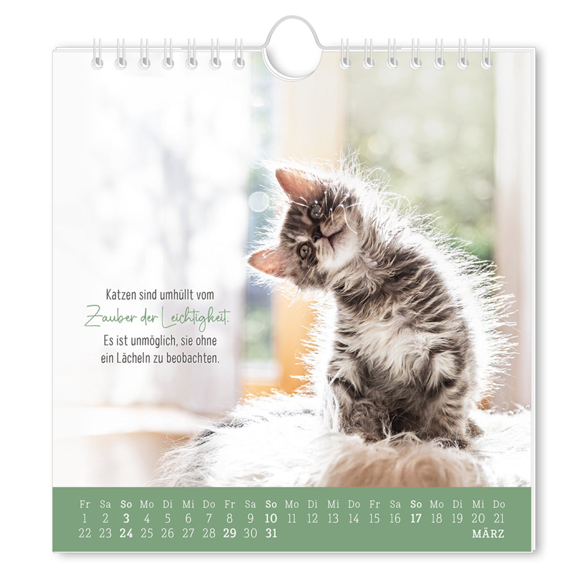 Grafik Werkstatt Postkartenkalender 2024 Auf leisen Pfoten