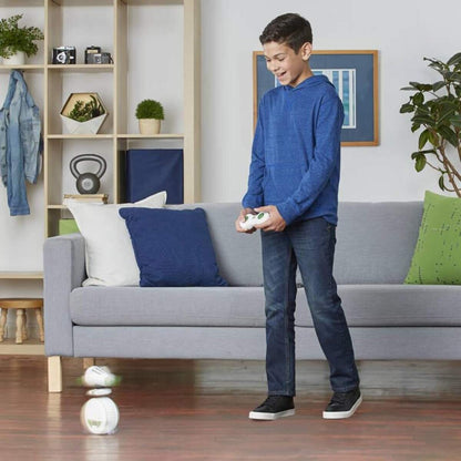 Hasbro Star Wars 9 Figur Droid Limerick, Funkferngesteuert