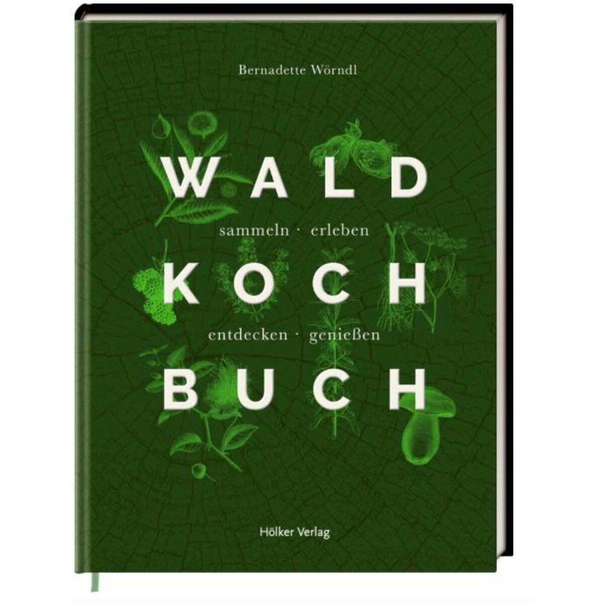 Hölker Verlag Das Wald-Kochbuch