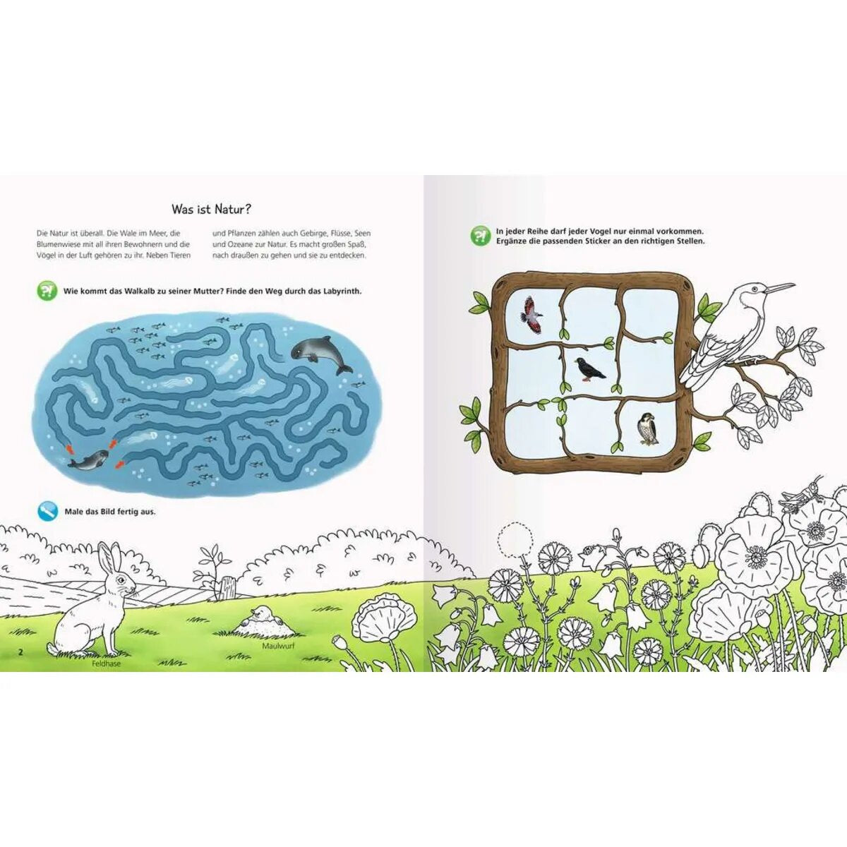 Ravensburger Wieso? Weshalb? Warum? aktiv-Heft: Natur